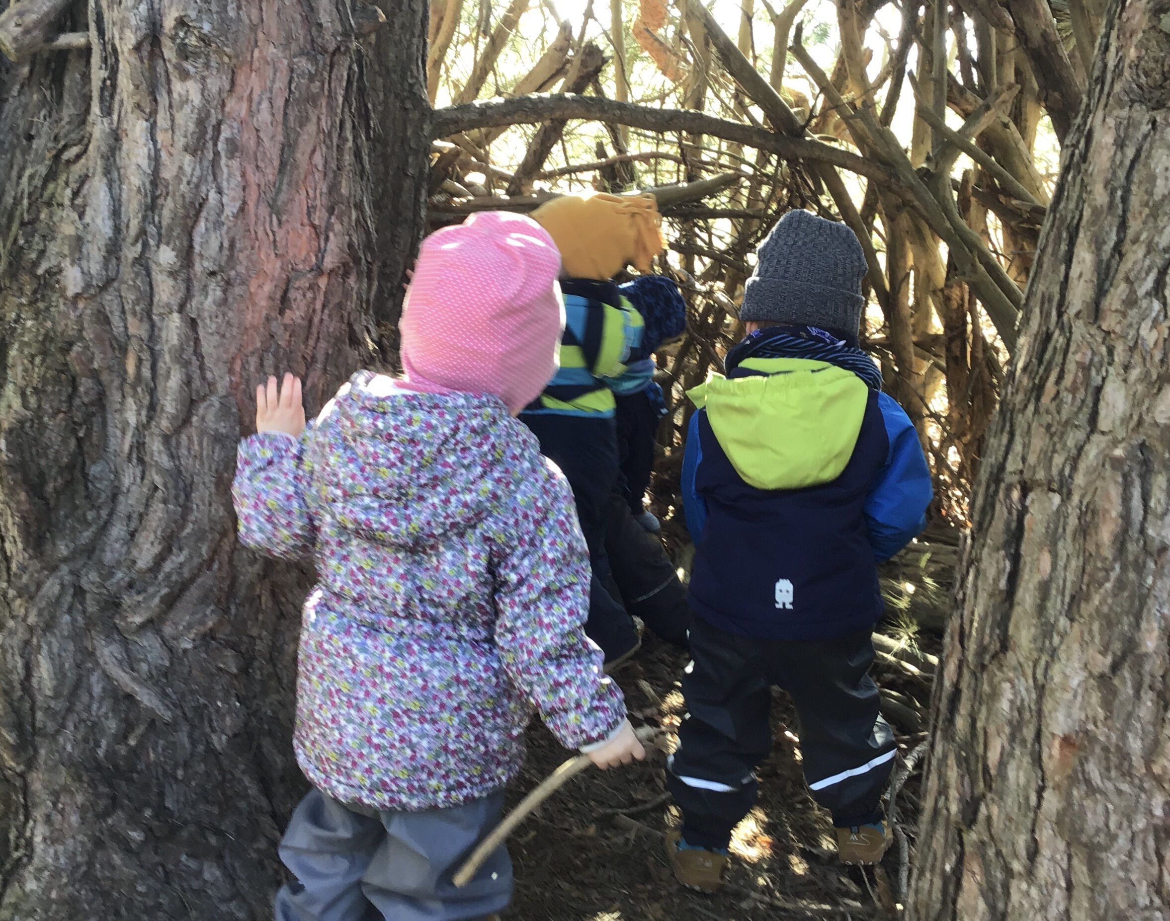 Drei Kinder gehen zwischen 2 Bäumen durch und bauen dort aus Ästen eine Bude.